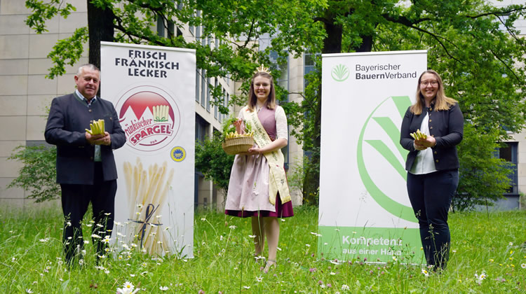 Spargelkönigin Christiane Reinhart und die Vorsitzende des Spargel-Erzeugerverbandes Franken Miriam Adel dem Präsidenten des Bayerischen Bauernverbandes Walter Heidl